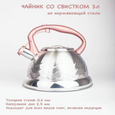 Чайник из нержавеющей стали со свистком 3л. Lider LD-2053