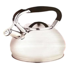 Чайник из нержавеющей стали со свистком LD-2059