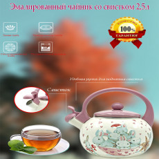 Чайник эмалированный со свистком 2,5л.  - LIDER LD-1007