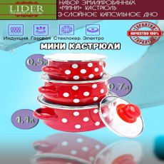 Набор кастрюль мини LIDER 6 предметов  ART LD1001